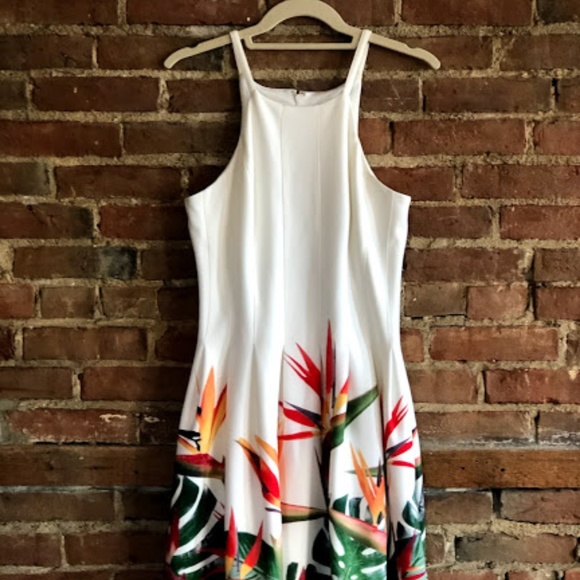 Calvin Klein dress - size 4 - Picture 1 of 2